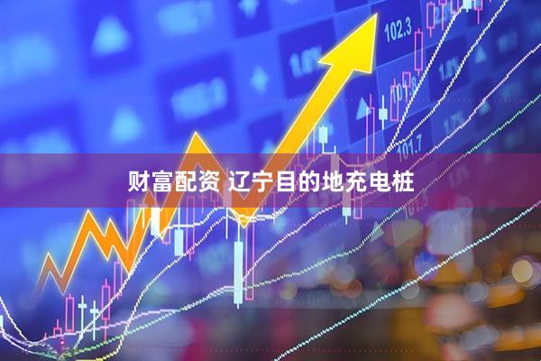 财富配资 辽宁目的地充电桩