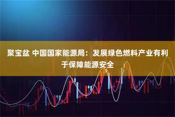 聚宝盆 中国国家能源局：发展绿色燃料产业有利于保障能源安全