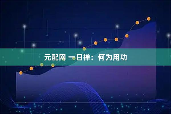 元配网 一日禅：何为用功