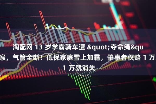 淘配网 13 岁学霸骑车遭 "夺命绳" 锁喉，气管全断！低保家庭雪上加霜，肇事者仅赔 1 万就消失