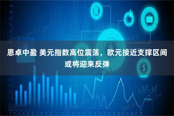 恩卓中盈 美元指数高位震荡，欧元接近支撑区间或将迎来反弹