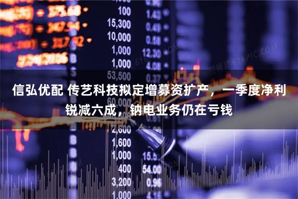 信弘优配 传艺科技拟定增募资扩产，一季度净利锐减六成，钠电业务仍在亏钱