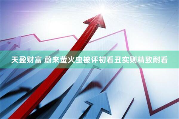 天盈财富 蔚来萤火虫被评初看丑实则精致耐看