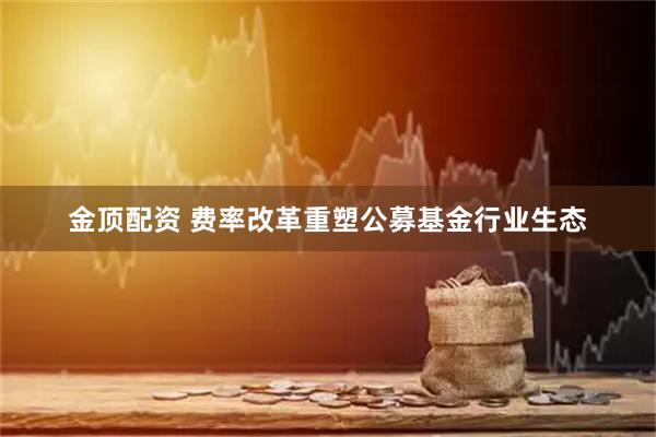 金顶配资 费率改革重塑公募基金行业生态