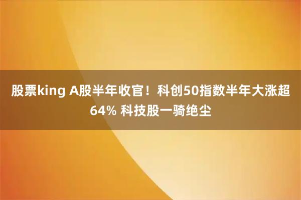 股票king A股半年收官！科创50指数半年大涨超64% 科技股一骑绝尘